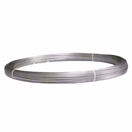 의료 기기용 ASTM F67 1등급 티타늄 와이어(두께 2mm)